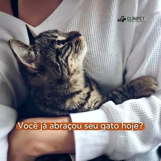 Clinipet BH - Clínica Veterinária e Pet Shop