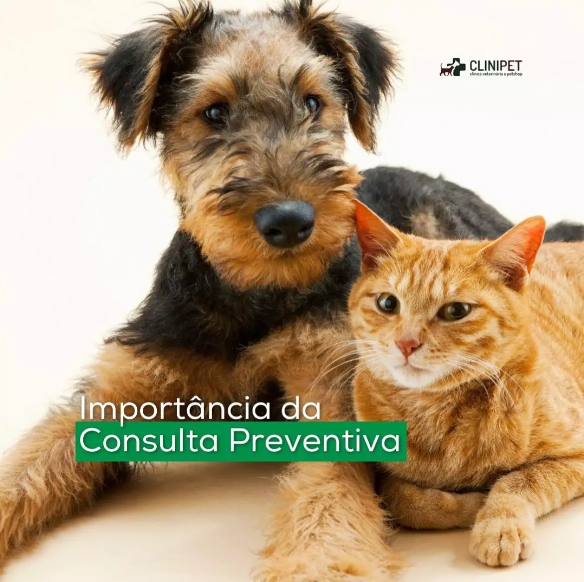 Clinipet BH - Clínica Veterinária e Pet Shop