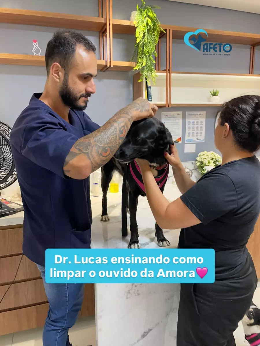 Afeto Hospital e Pet Shop
