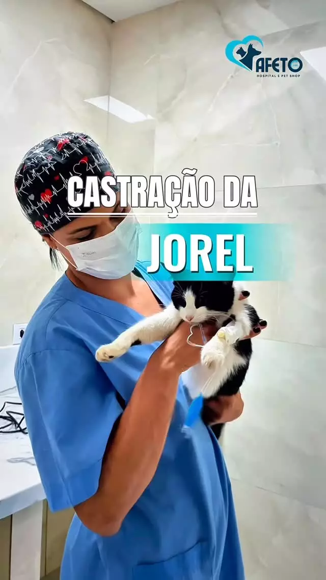 Afeto Hospital e Pet Shop