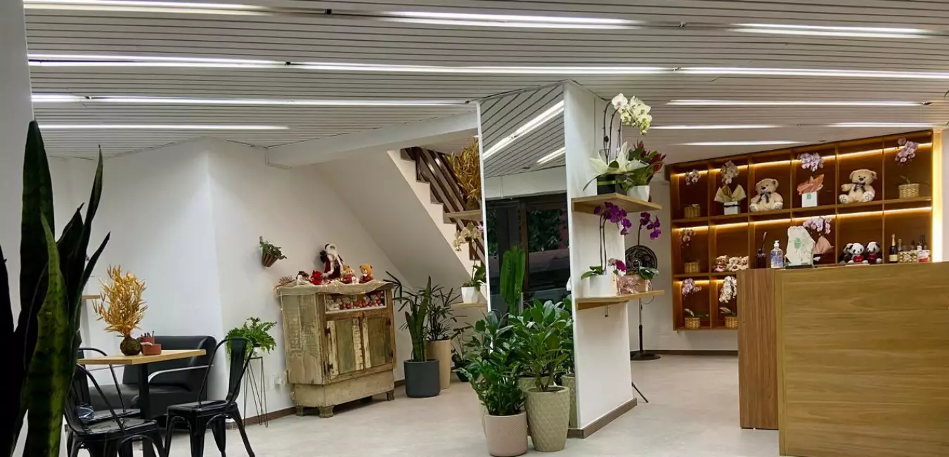 Floricultura Portulaca